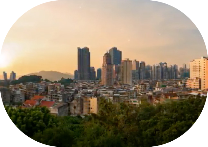 SSMP　［プロモーション］